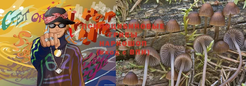 Галлюциногенные грибы Magic Shrooms  Николаевск-на-Амуре 